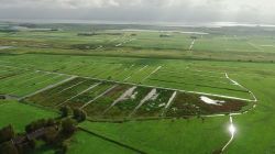 Luftbild des fünf Hektar großen Rohrkolbenpolders Burkmeer (Foto: Jens-Uwe Holthuis).