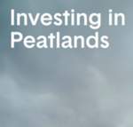 Report Cover Investing in Peatlands (Foto: mlightbody).