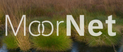 Logo MoorNet.