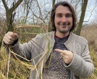 Clemens Kleinspehn analysiert den Life cycle eines Paludikultur-Produkts (Foto: N. Körner)