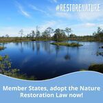 SOM-Card: #restorenature (Picture: Campaign restorenature 2024).
