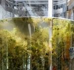 Sphagnum culture in a 50L bioreactor at the FH Köthen (Picture: Maria Glaubitz).