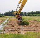 Harvesting Sphagnum moss (Picture: Greta Gaudig).