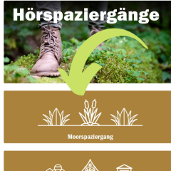 Moorspaziergang in Greifswald App (Screenshot aus Greifswald App)