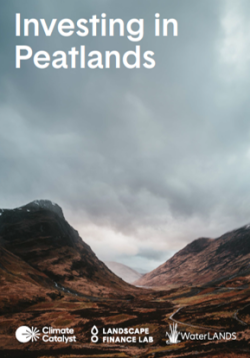 Report Cover Investing in Peatlands (Picture: mlightbody).