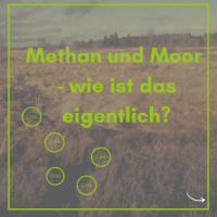 Methan und Moor - wie ist das eigentlich? (Illustration: GMC per canva).