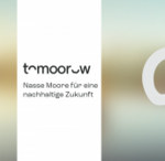 Logo toMOORow.