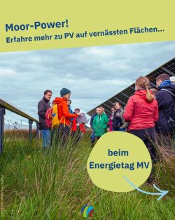 Menschen auf Flächen mit MoorPV. Bildcredit: Wattmanufaktur