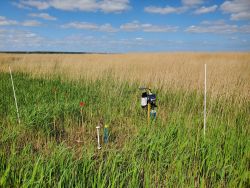 Mosquito trap with CO2 attractant (Image: Patrick Gutjahr).