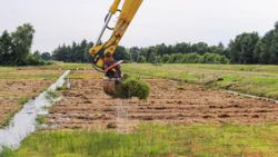 Harvesting Sphagnum moss (Picture: Greta Gaudig).