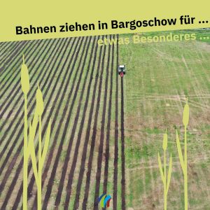 Bodenbearbeitung für Schilfpflanzung Polder Bargischow Süd (Foto: Samiel Knobloch)