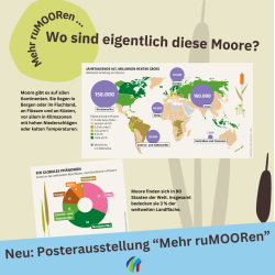 Ankündigung Posterausstellung "Mehr ruMOORen"
