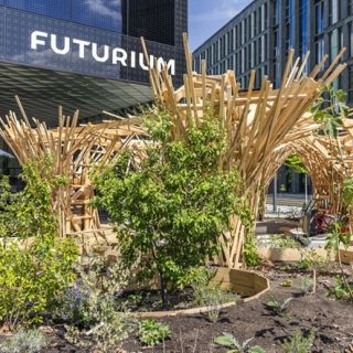 Pflanzeninstallation Superland vor dem Berliner Futurium (Foto: David von Becker)